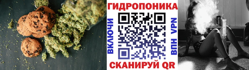 блэк спрут ТОР  Слюдянка  Canna-Cookies конопля 