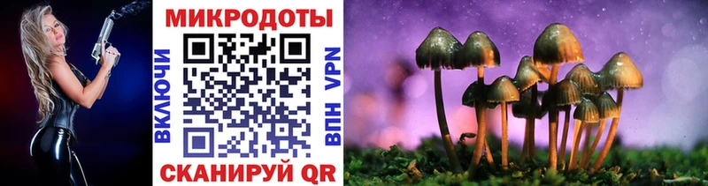 Псилоцибиновые грибы прущие грибы  Слюдянка 